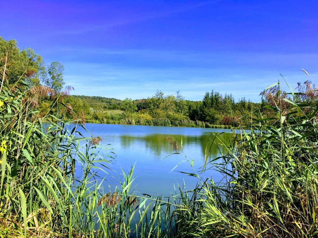 Image de l'étang de Gironval